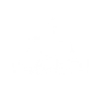 Lola Vision Systems