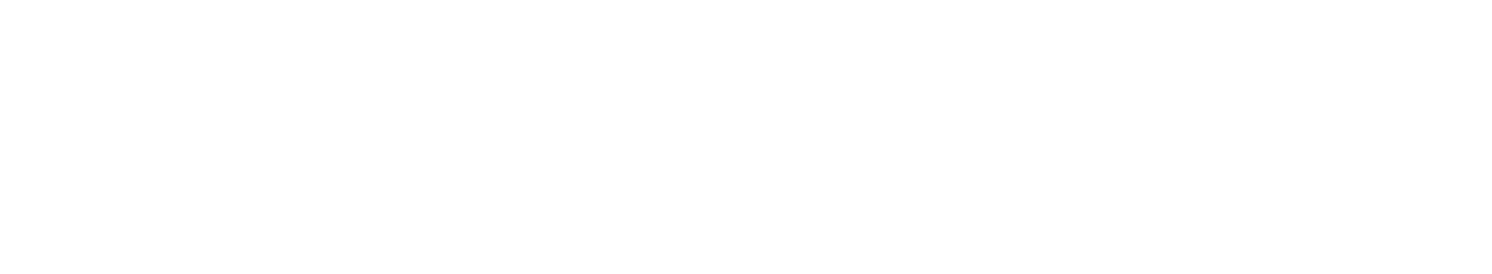 Valis Corporation