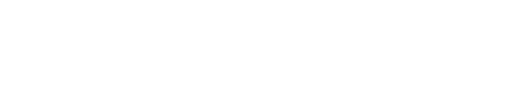 Maverick Silicon