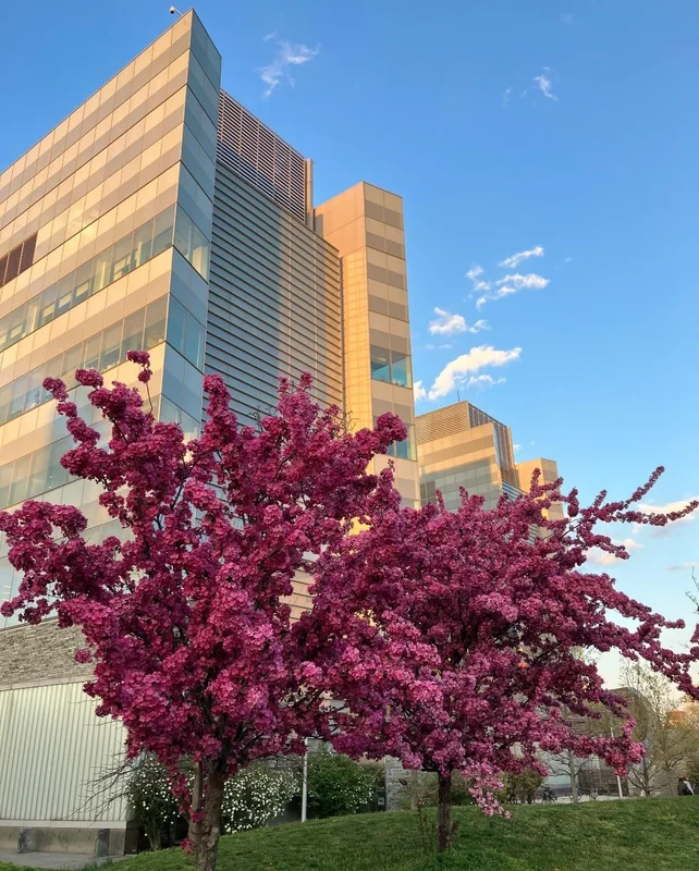 cuny advanced science research center