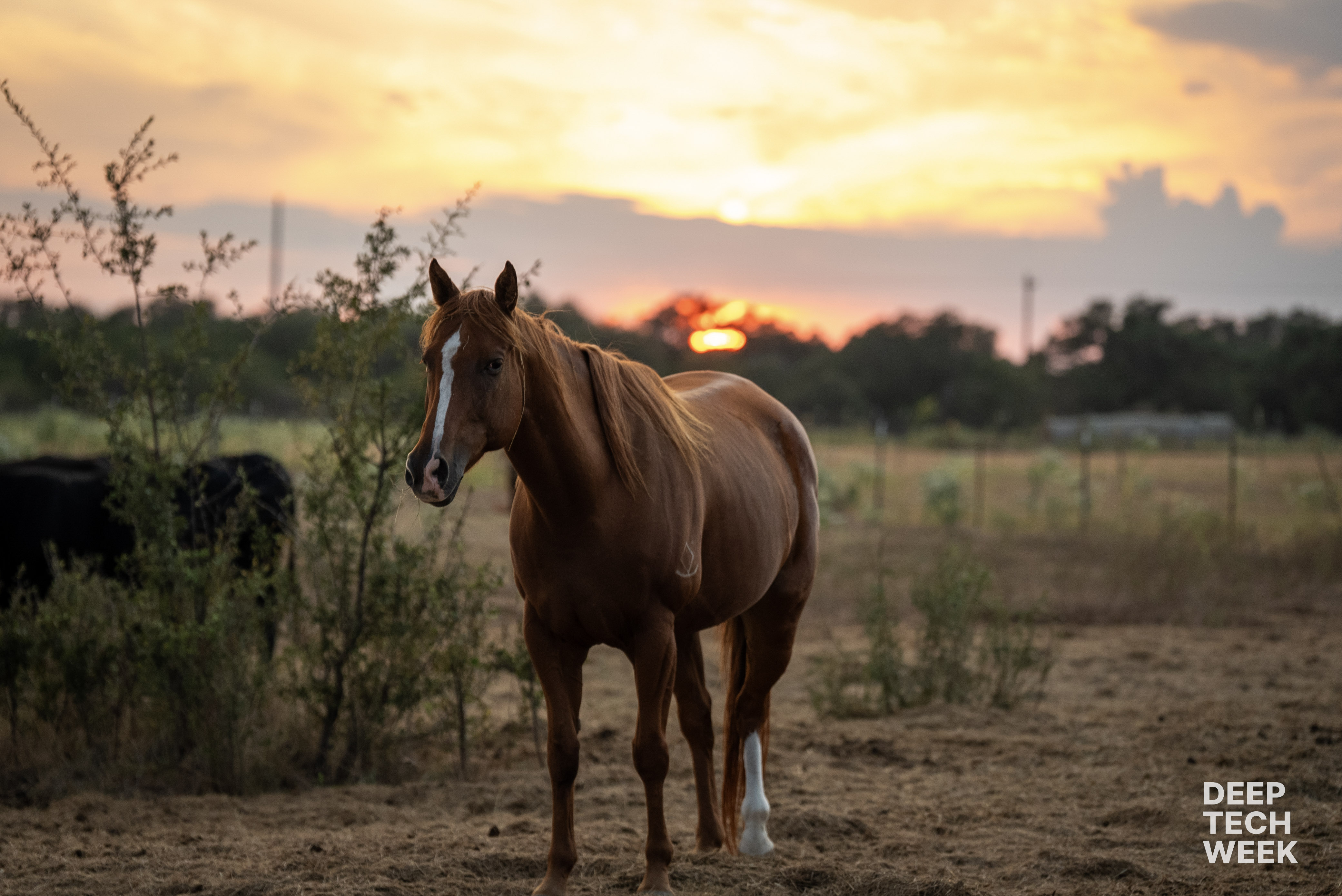 Photo from The Embryo Corporation Ranch Visit & BBQ: Deep Tech Week