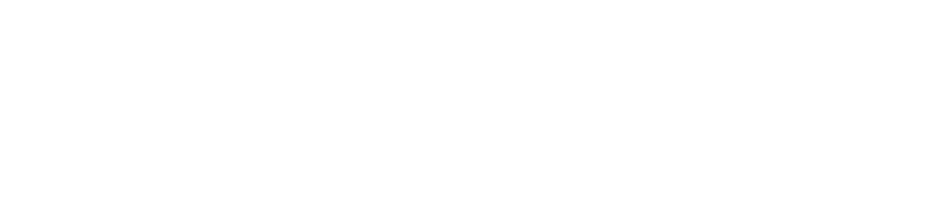 SirenOpt