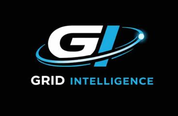 Grid Intelligence