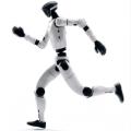 Run Robot