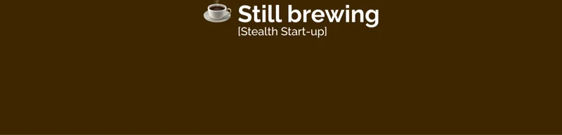 Stealth Start-up